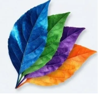 上海邦翎信息科技有限公司